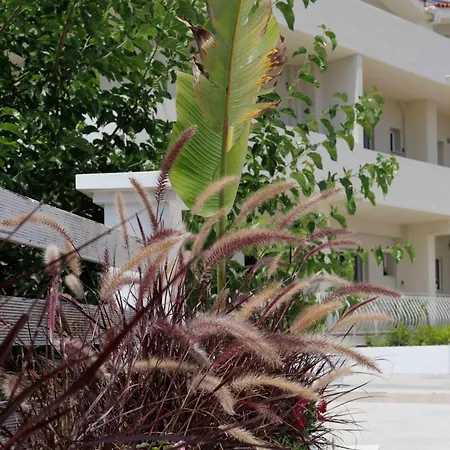 Apartament Maggana Minia