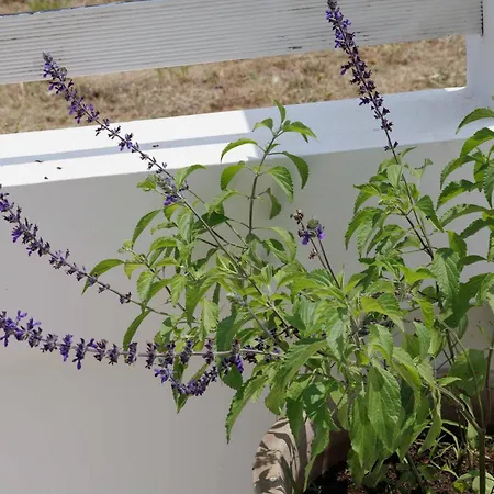 Maggana Апартаменты *